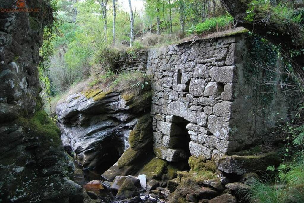 Stone Santiago * Curtis
